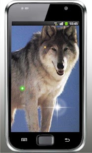 Wolf Angry Free live wallpaper Screenshots 2