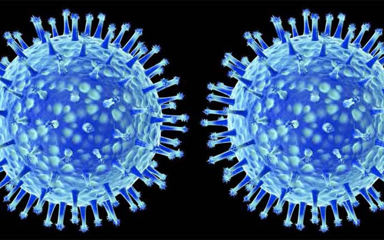 Вирус гриппа коронавирус. Вирус. Неклеточные формы жизни. Вирус гриппа под микроскопом и коронавирус. Грипп и коронавирус под микроскопом.