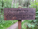 Shangri La Trail and Coyote Creek Trail Intersection 2