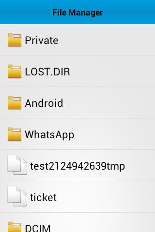 File Manager