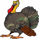 Turkey Call / Turkey Caller logo