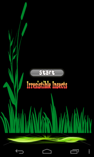 Irresistible Insects