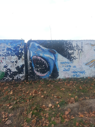 Синяя Акула