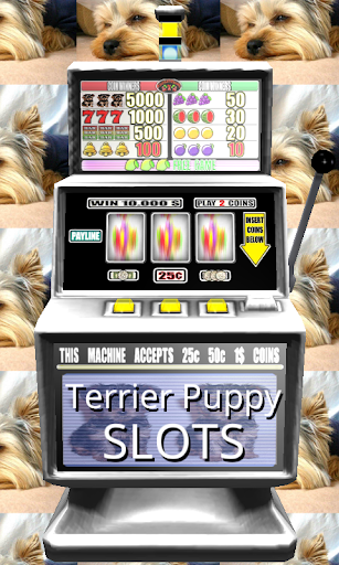 3D Terrier Puppy Slots - Free