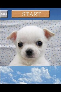 How to get puzzle[Dog] patch 1.0.3.2 apk for android