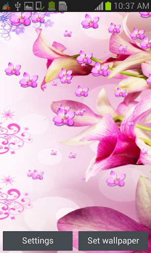 Orchid Live Wallpaper