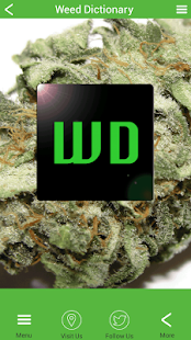 How to get Weed Dictionary lastet apk for bluestacks