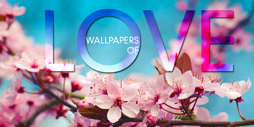 【免費個人化App】Wallpapers of love HD-APP點子