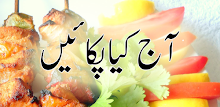 Top Urdu Recipes APK