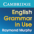 English Grammar in Use1.10.01