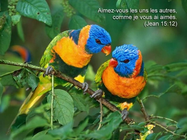 [Jn015012_Pensee_SemaineG640x4802.jpg]