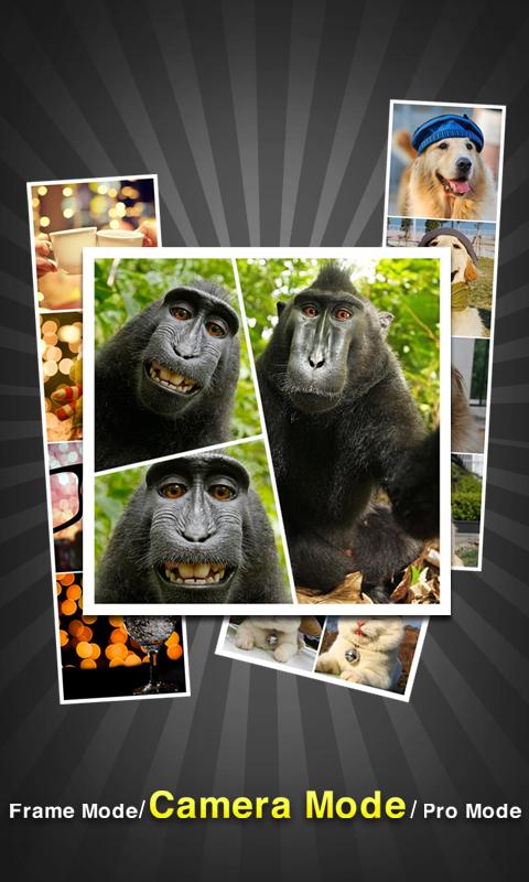 PicFrame Pro - Photo Collage Screen 2