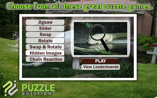 Albino Animals Puzzles