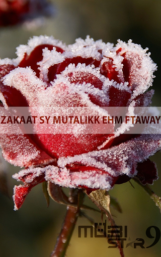 Zakat sy Mutallik Ehm Ftaway