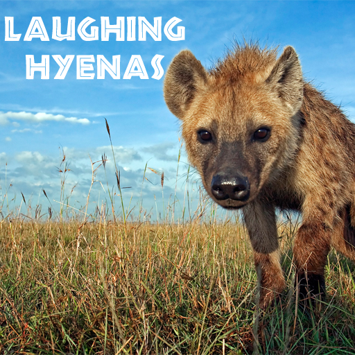 lachende hyenas