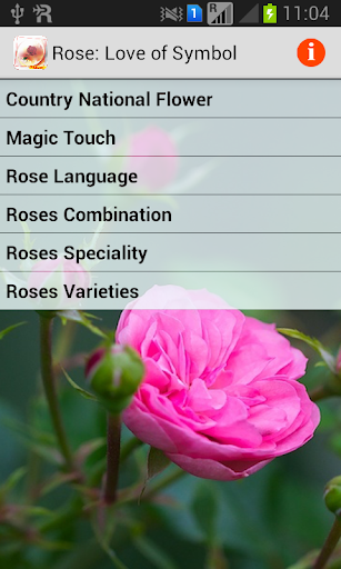 Rose- Love of Symbol