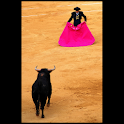 Artists : Torero logo