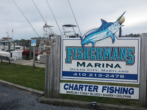 Fish Art on Fisherman's Marina