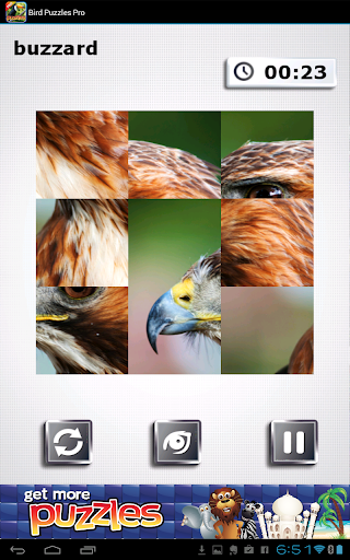 【免費解謎App】Bird Puzzles Pro-APP點子