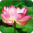 Pink Lotus GO Launcher Theme mobile app icon