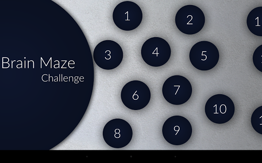 Brain Maze Challenge