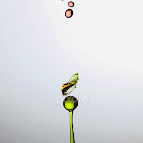 flying dews by Parjiyo Suwardi - Abstract Water Drops & Splashes