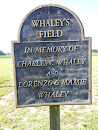 Whaley's Field