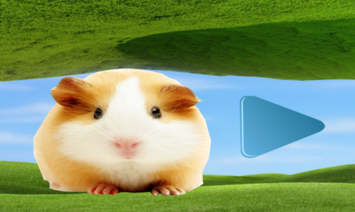 How to install Hamster Blue 1.5 unlimited apk for pc