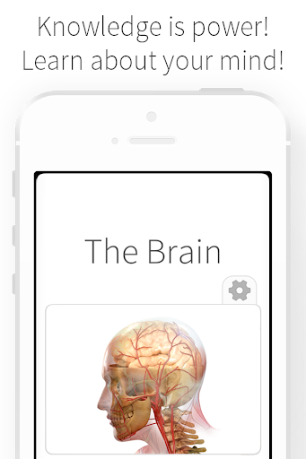 The Brain - Thought and Mind