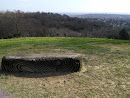 Reigate Lookout Carved Log