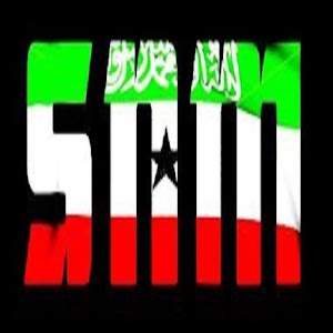 somali national movement 0.1