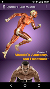 Free Syncrolife - Build Muscles APK for Android