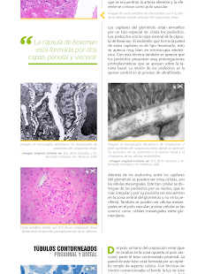 How to install Atlas Interactivo Histología 3 1.0.10 apk for android