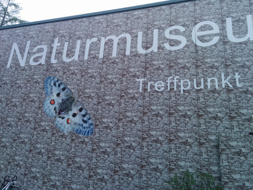 Narurmuseeum Salzkammergut