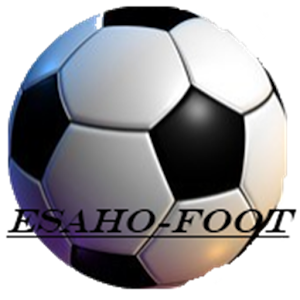 Assistant soccer coach Pro logo