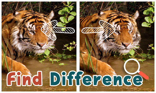 Find Differences : Wildlife