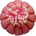 Wagashi1 logo