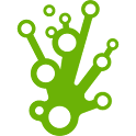 Spore