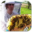 Bee Keeping