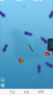  Vitalion Bacteria Evolution  