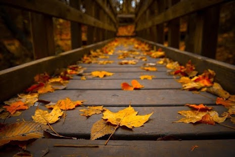 How to mod Autumn Nature HD Wallpaper lastet apk for pc