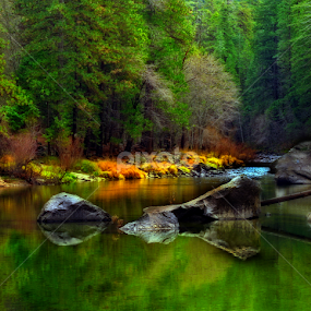 Autumn on the Merced. Yosemite National Park, Ca. by Floyd Hopper - Landscapes Prairies, Meadows & Fields