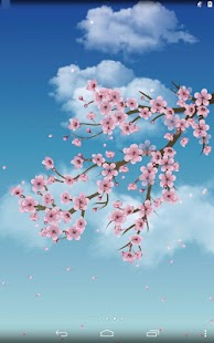 Lastest Sakura blossom APK