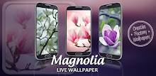 Magnolia Live Wallpaper APK