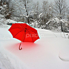 Crveni kišobran 2 by Jelena Puškarić - Artistic Objects Other Objects