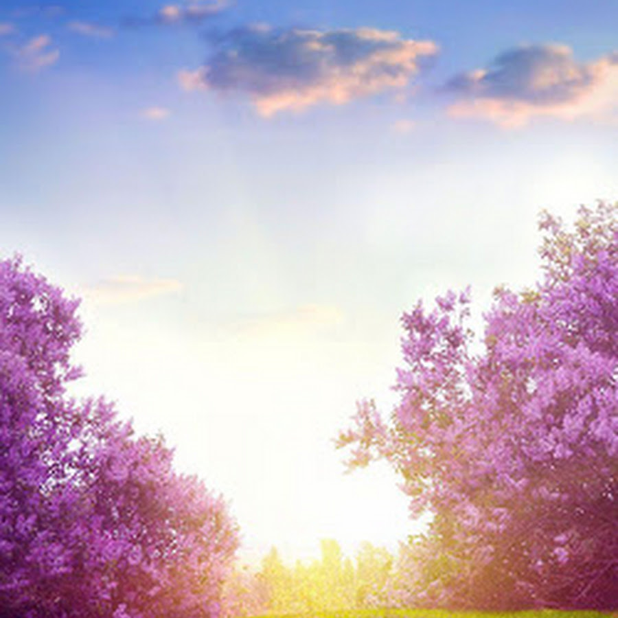 Flowers Wallpaper Spring Live