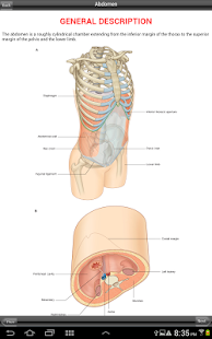 Free Download Gray's Pelvis Perineum Abdomen APK