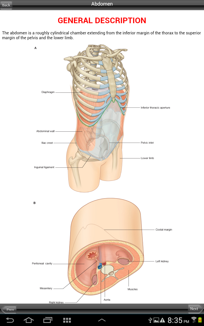 Grays Pelvis Perineum Abdomen Screen 2