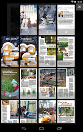 the forest-kiosk poster 6