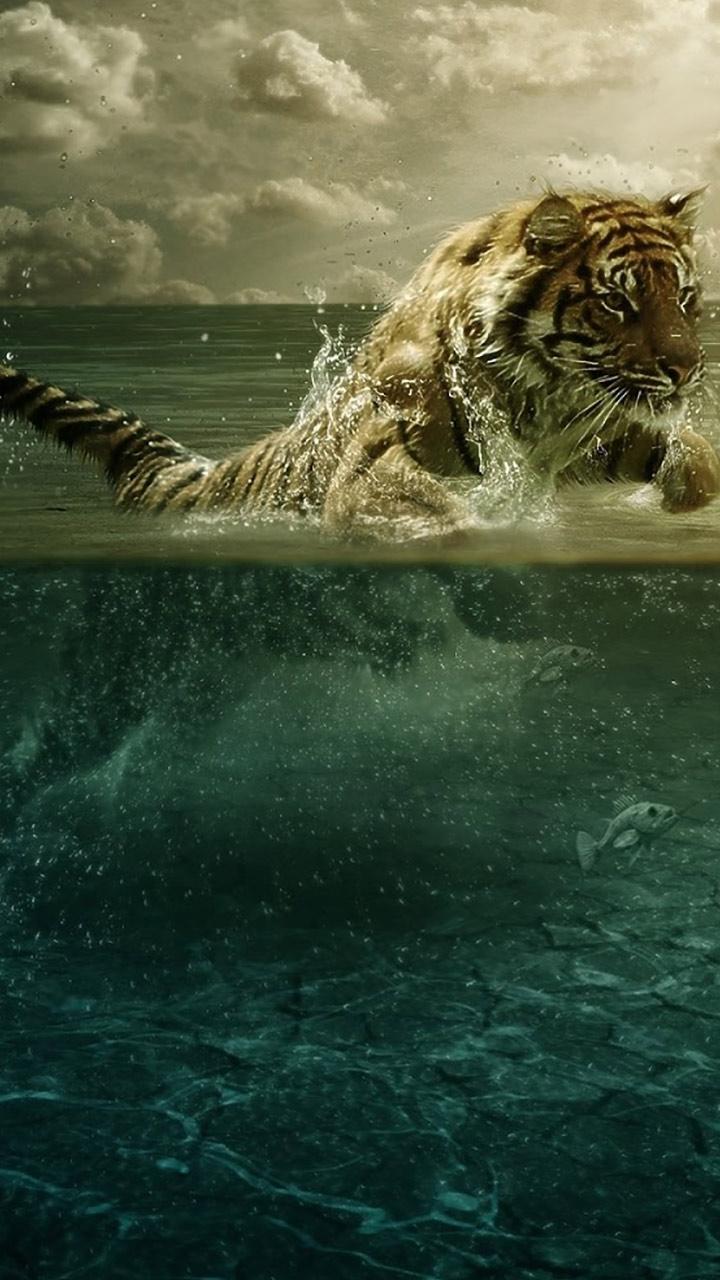 Tigers Live Wallpaper Screen 2